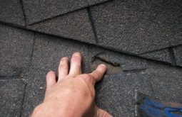 Bay Area Roof Repair