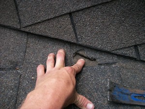 bay area roofing contractor