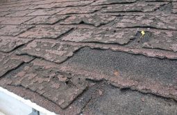 residential-roofing-repair-east-bay