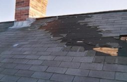 Bay Area Roofing Contractor