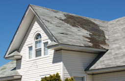 San Francisco, Bay Area, roofing company