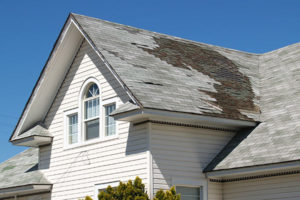 San Francisco, Bay Area, roofing company